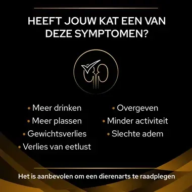 PPVD NF St/Ox Renal Function kattenvoer symptomen