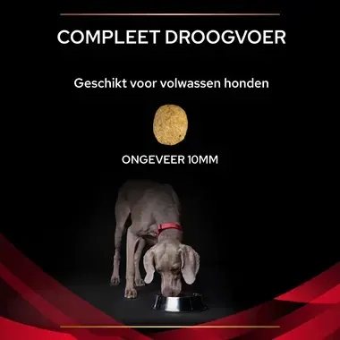 PPVD DM Diabetes Management hondenvoer brokformaat