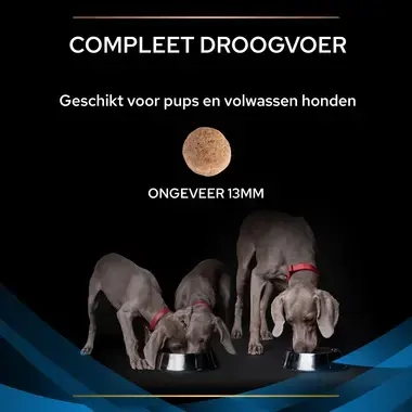 PPVD DRM Dermatosis hondenvoer brokformaat
