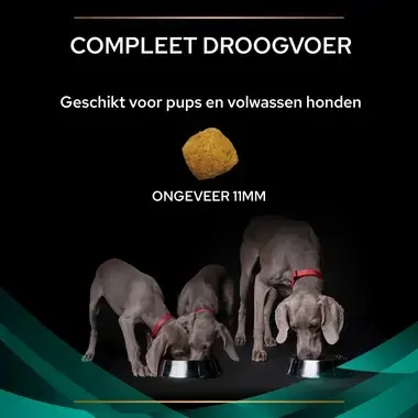 PPVD EN Gastrointestinal hondenvoer Brokformaat