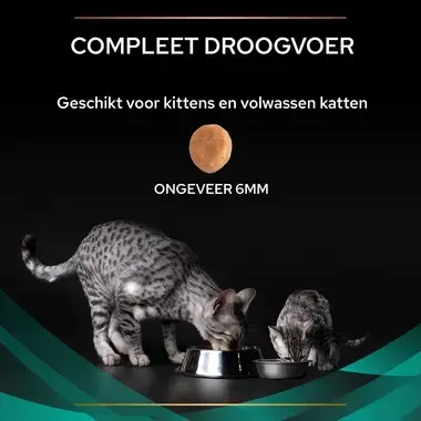 PPVD EN St/Ox Gastrointestinal kattenvoer brokformaat