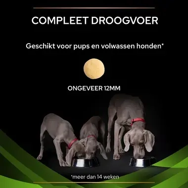 PPVD HA Hypoallergenic hondenvoer brokformaat