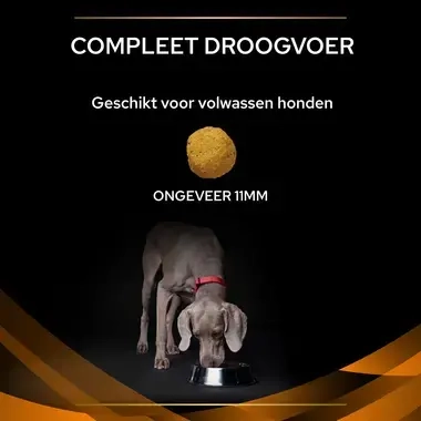 PPVD OM Obesity Management hondenvoer brokformaat