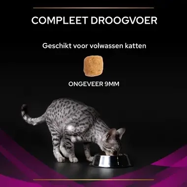 PPVD UR St/Ox Urinary Kip kattenvoer brokformaat