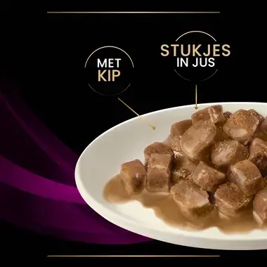 PPVD UR St/Ox Urinary natvoer kip kattenvoer stukjes in jus