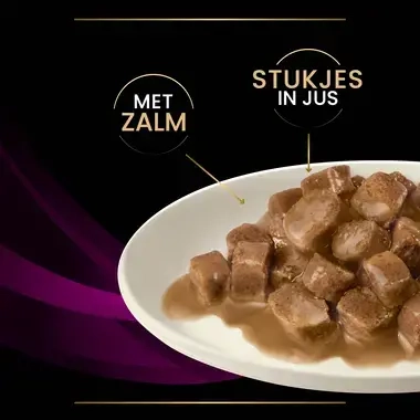 PPVD UR St/Ox Urinary natvoer zalm kattenvoer stukjes in jus