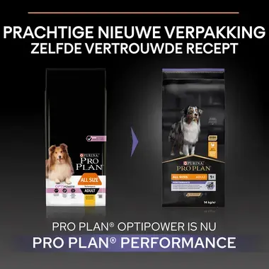 Before PURINA® PRO PLAN® All Sizes Adult Performance