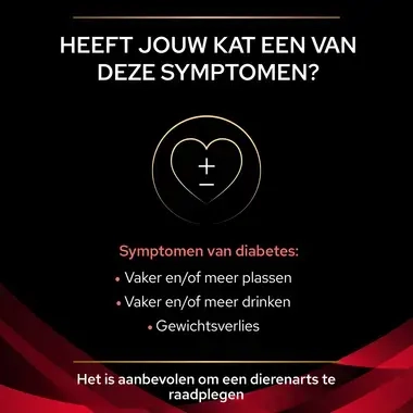 PPVD DM St/Ox Diabetes Management kattenvoer symptomen
