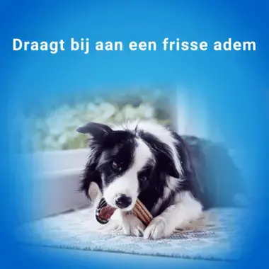 Dentalife hond snacks gezond gebit