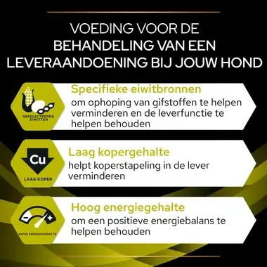 PPVD HP Hepatic hondenvoer belangrijkste voordelen