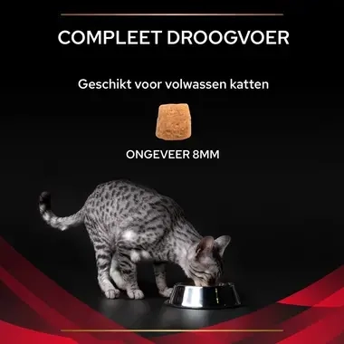 PPVD DM St/Ox Diabetes Management kattenvoer brokformaat