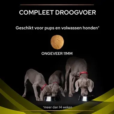 PPVD HP Hepatic hondenvoer brokformaat