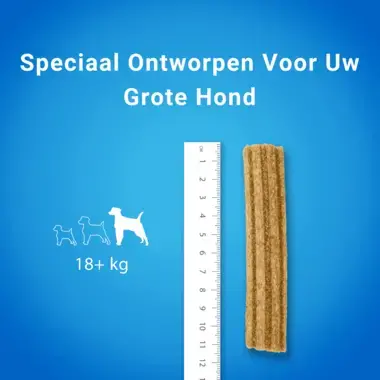 Dentalife hond snacks large afmeting