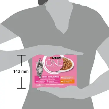 Purina ONE® Junior Fijne Malse Reepjes in Saus met Kip en Zalm natvoer voor katten 8x85g