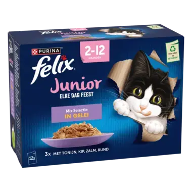 FELIX® Elke Dag Feest Junior Mix Selectie in Gelei kitten kattenvoer nat