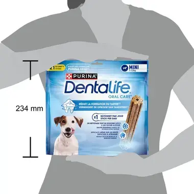 Dentalife® Daily Small