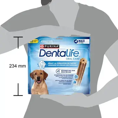 Dentalife® Daily Large
