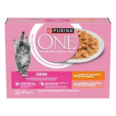 Purina ONE® Junior Fijne Malse Reepjes in Saus met Kip en Zalm natvoer voor katten 8x85g