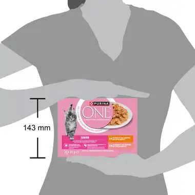 Purina ONE® Junior Fijne Malse Reepjes in Saus met Kip en Zalm natvoer voor katten 8x85g