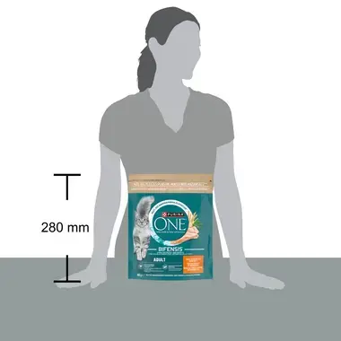 PURINA ONE® Adult Rijk aan Kip en Volkoren Granen kattenvoer
