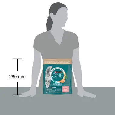 PURINA ONE® Adult Rijk aan Zalm en Volkoren Granen kattenvoer