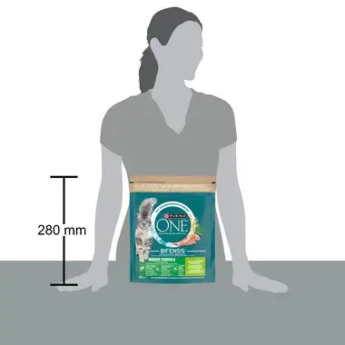 PURINA ONE® Indoor Formula Rijk aan Kalkoen en Volkoren Granen kattenvoer