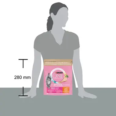 PURINA ONE® Junior Rijk aan Kip en Volkoren Granen kattenvoer
