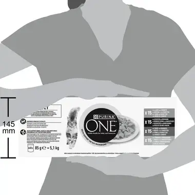PURINA® ONE® ADULT Fijne Malse Reepjes in Saus met Lam, Zeevis, Rund en Kip kattenvoer nat 60x85g
