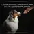 PRO PLAN® Dog Natural Defences supplement tabletten makkelijk te voeren