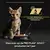 PURINA® PRO PLAN® Kitten Mousse Rijk aan Kip natvoer