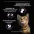PURINA® PRO PLAN® Kitten Mousse Rijk aan Kip natvoer