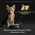 PURINA® PRO PLAN® Kitten Healthy Start Wetenschap