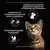 PURINA® PRO PLAN® Kitten Healthy Start USPs
