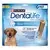 Dentalife® Daily Large