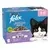 FELIX® Original Junior Mix Selectie in Gelei kitten kattenvoer nat
