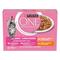 Purina ONE® Junior Fijne Malse Reepjes in Saus met Kip en Zalm natvoer voor katten 8x85g