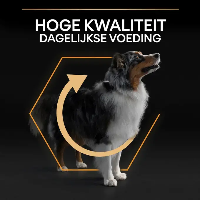 14kg PURINA PRO PLAN ALL Size Adult Performance OPTIPOWER - Hondenvoer Aanbieding bij Zooplus