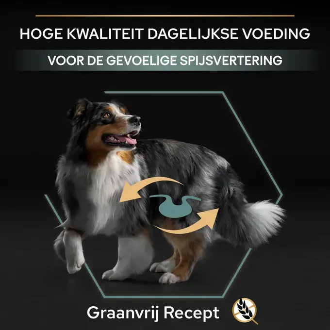 Purina Pro Plan Medium Age 7 voedsel voor middelgrote oudere honden, senior met kip, 4 zakken à 3 kg