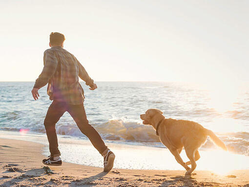 man en hond rennen op het strand