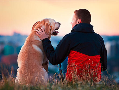 man met hond op heuvel