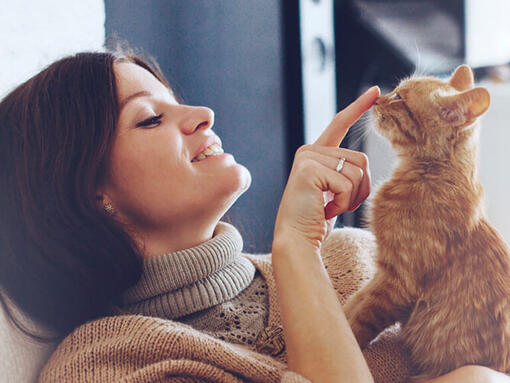 vrouw raakt neus kat aan