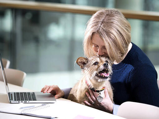 Vrouw en hond op laptop