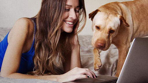 Vrouw en hond op laptop