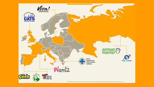 Europese kaart met liefdadigheidsinstellingen voor adoptie