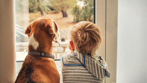 jongen en hond kijken naar buiten