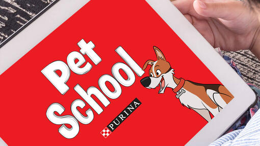 petschool programma