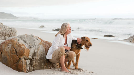 Airedale Terrier op het strand met een persoon.