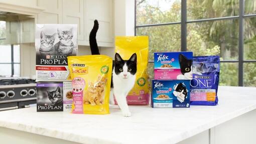 Zwart-witte kat met Purina kattenvoerpakketten