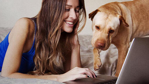 vrouw met hond bij computer