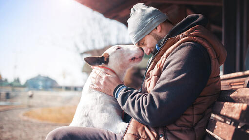 Bull terrier met de eigenaar